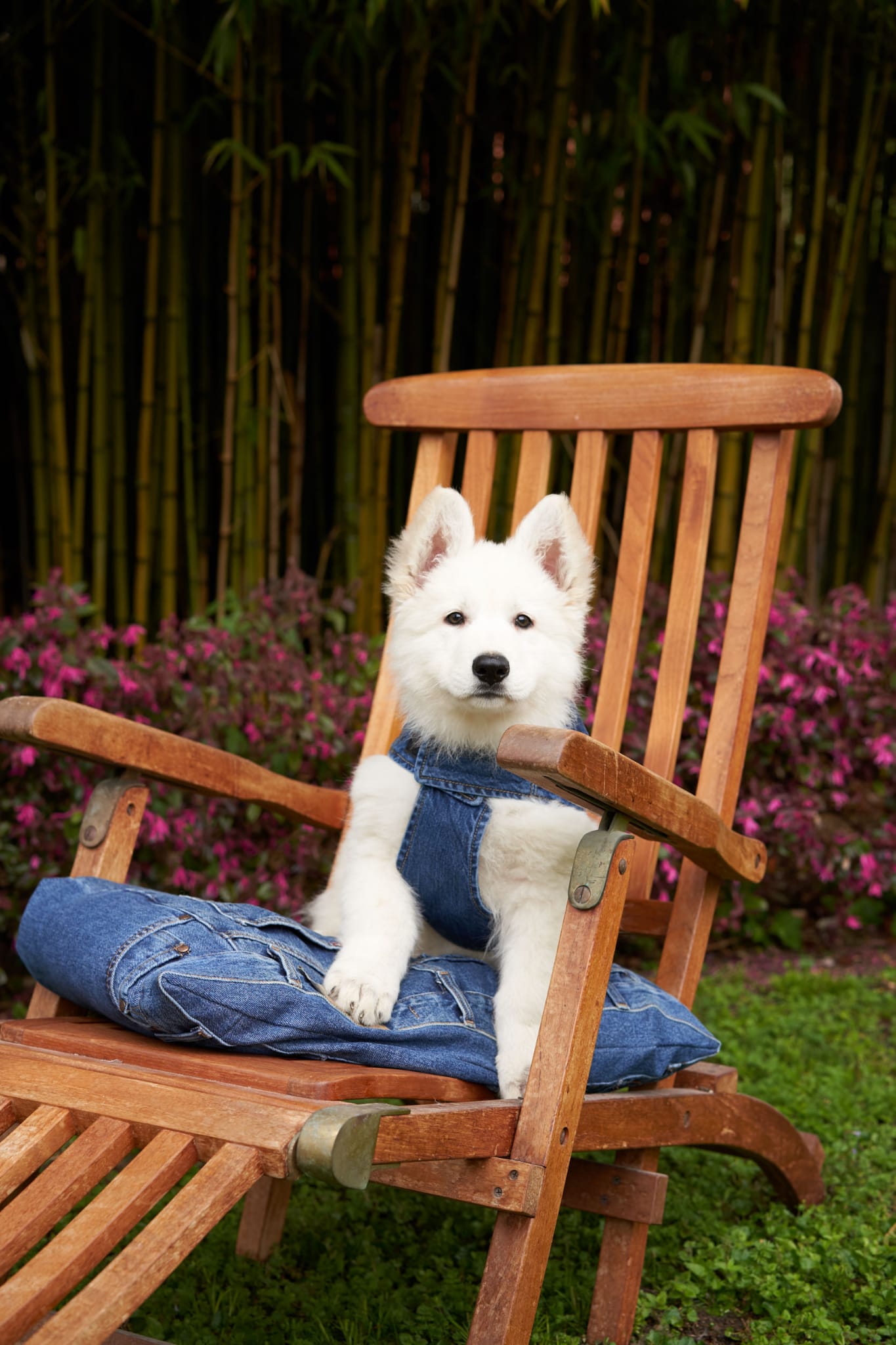 image00009